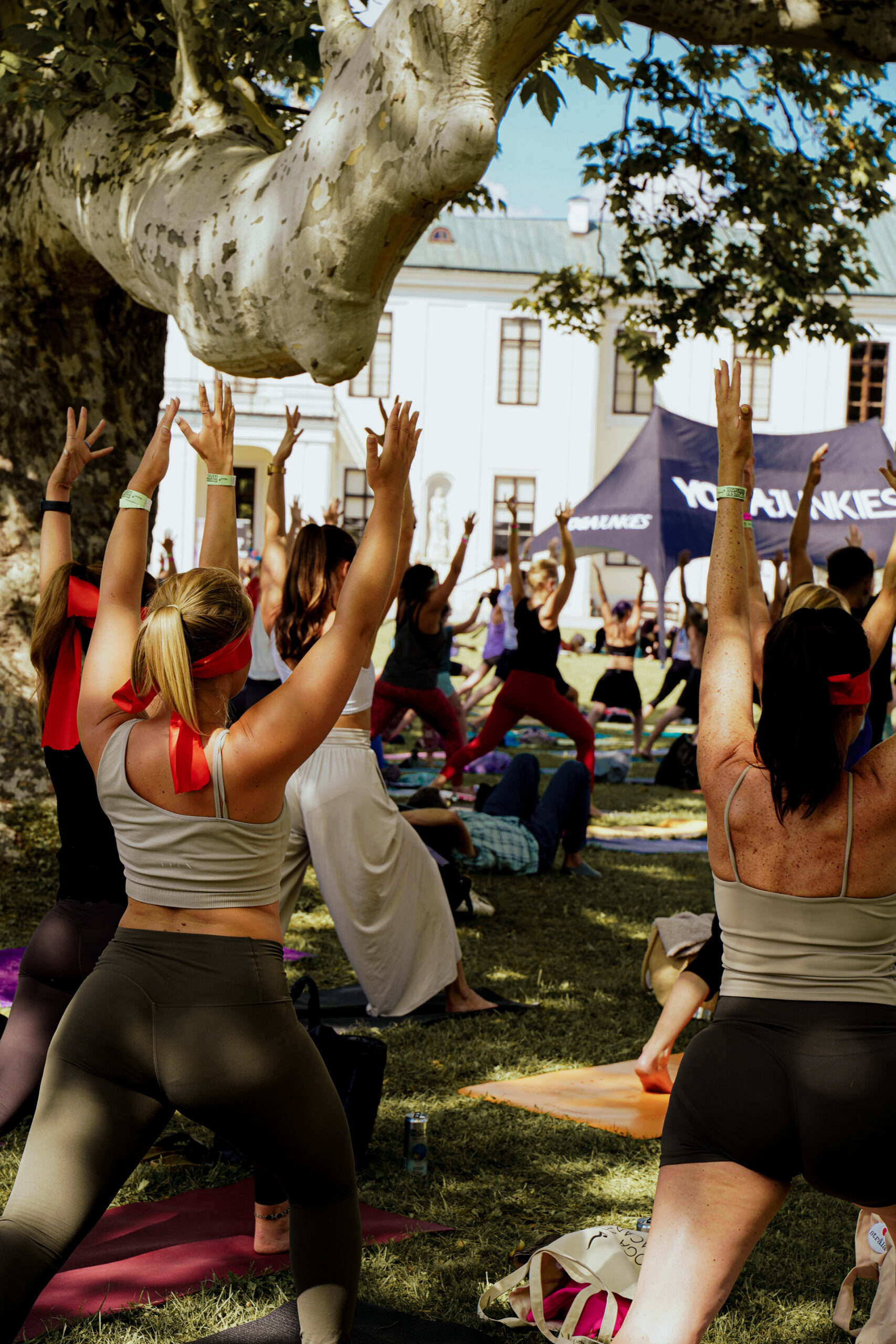 Yoga Junkies Festival